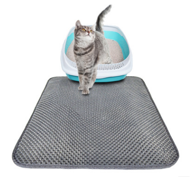 Cat walking on a textured mat with a small pet bed in the background
