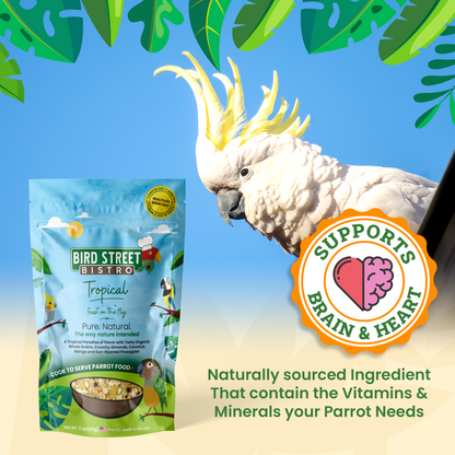 Bird Street Bistro tropical parrot food package with a parrot and brain and heart support badge on a tropical background.
