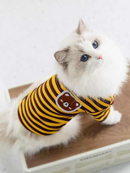 Cat wearing a yellow and black striped shirt with a bear design on a white background