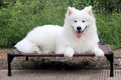 White dog lying on a elevated pet bed outdoors