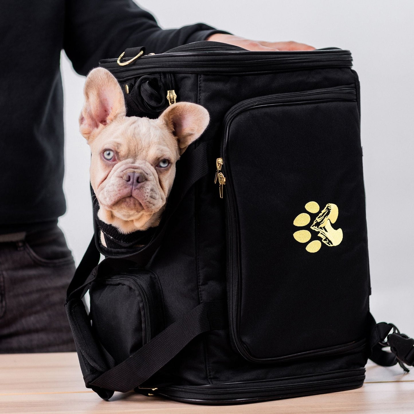Premium Pet Carrier for Travel