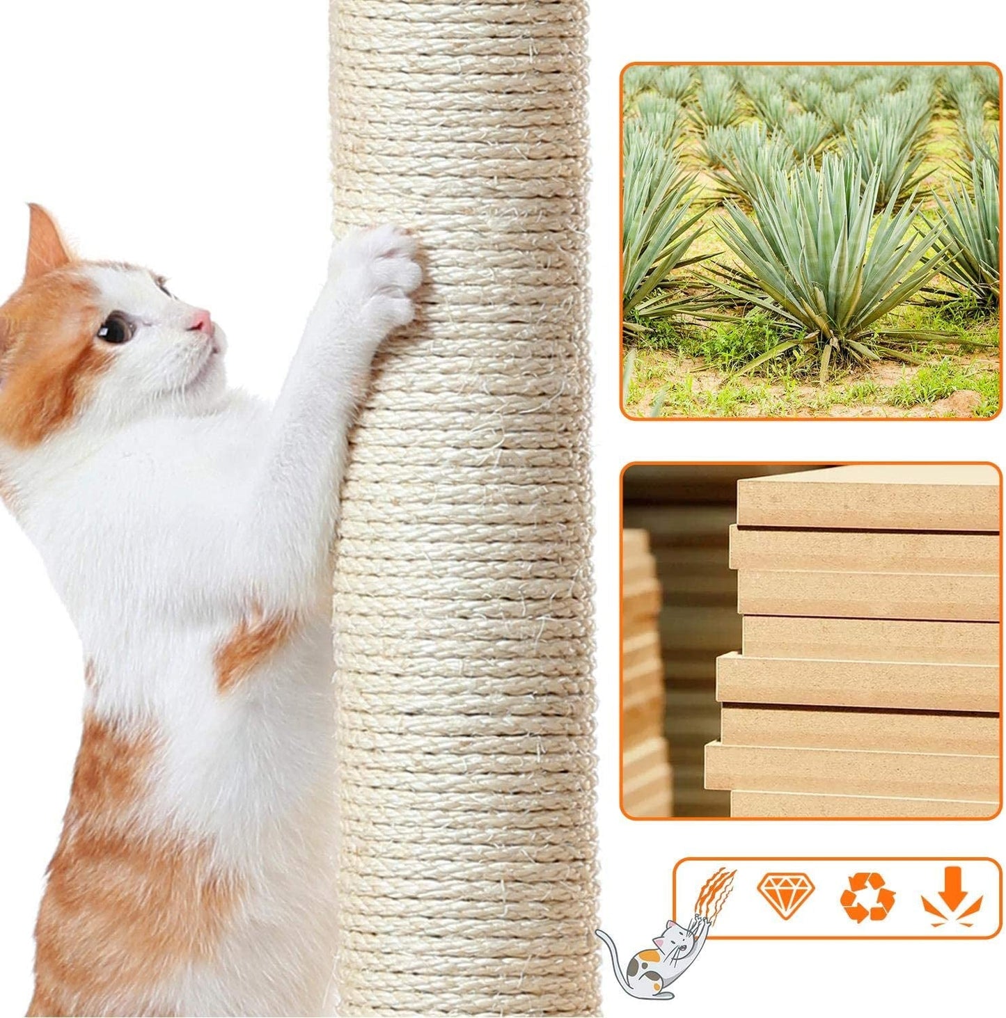 Cat using a sisal-wrapped scratching post with images of agave plants and wooden blocks.