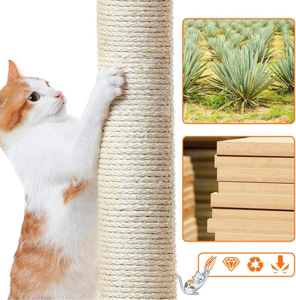 Cat using a sisal-wrapped scratching post with images of agave plants and wooden blocks.