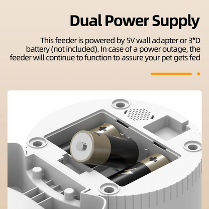 Smart Cat Feeder Camera for Automated Pet Care