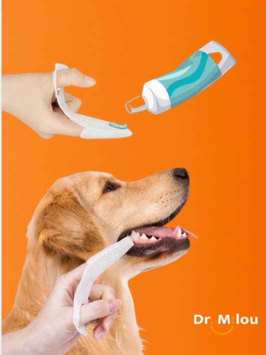 Dog being given a tube of toothpaste by a person on an orange background, with 'Dr. M Lou' branding.