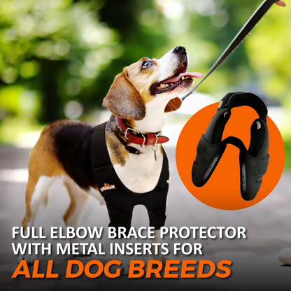 Dog wearing a full elbow brace protector with metal inserts, set against a blurred outdoor background.