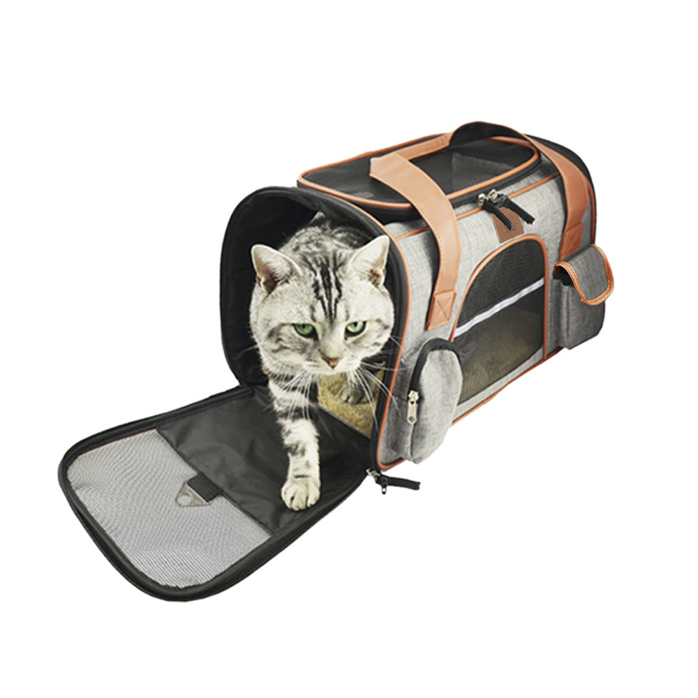 Cat inside a pet carrier on a white background