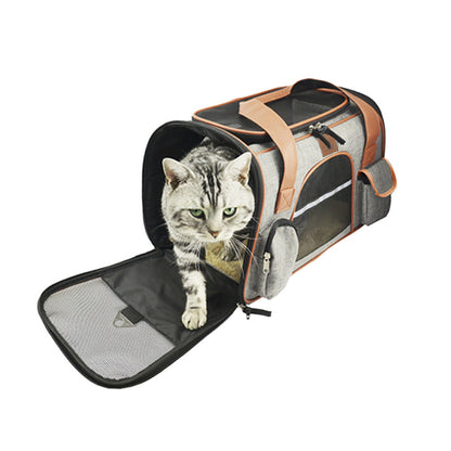 Cat inside a pet carrier on a white background
