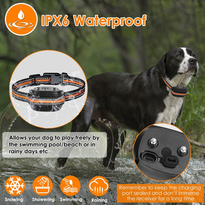 Dog wearing an IPX6 waterproof dog collar with charging port details, outdoors.