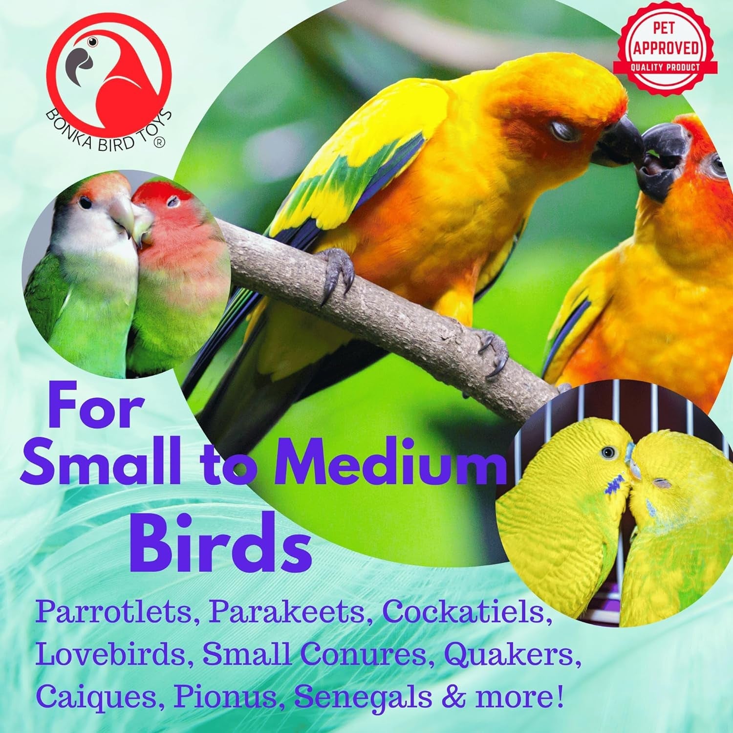 Advertisement for Bonka Bird Toys featuring colorful birds on a branch with text about bird types suitable for the product.
