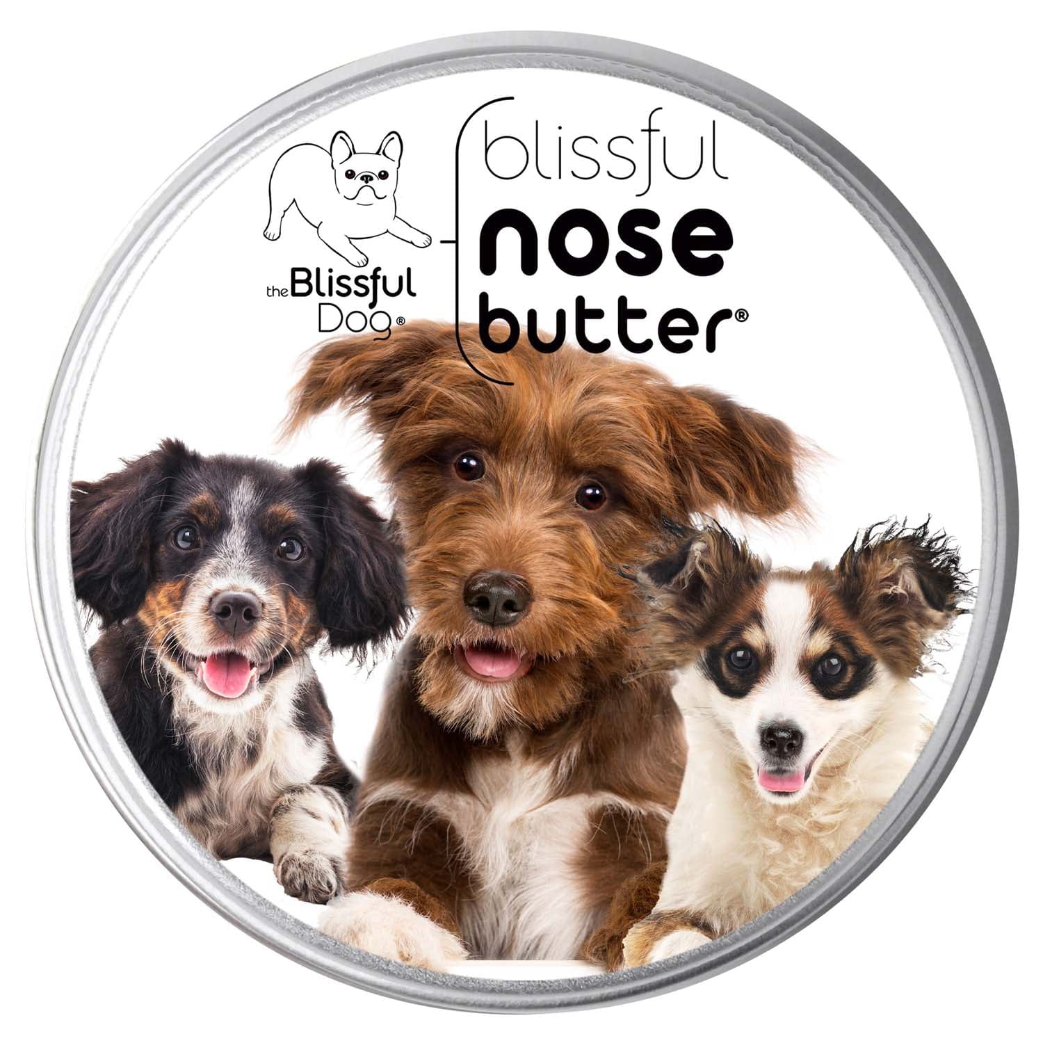 Blissful Nose Butter container with three dogs on a white background