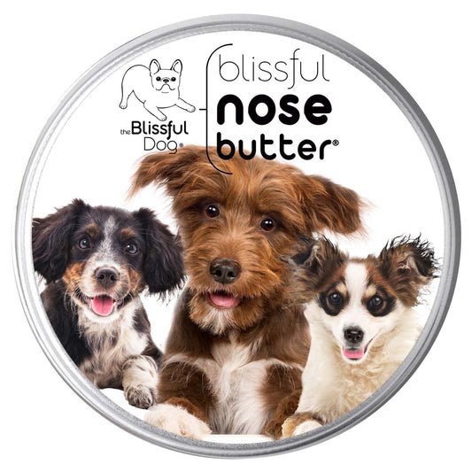Blissful Nose Butter container with three dogs on a white background