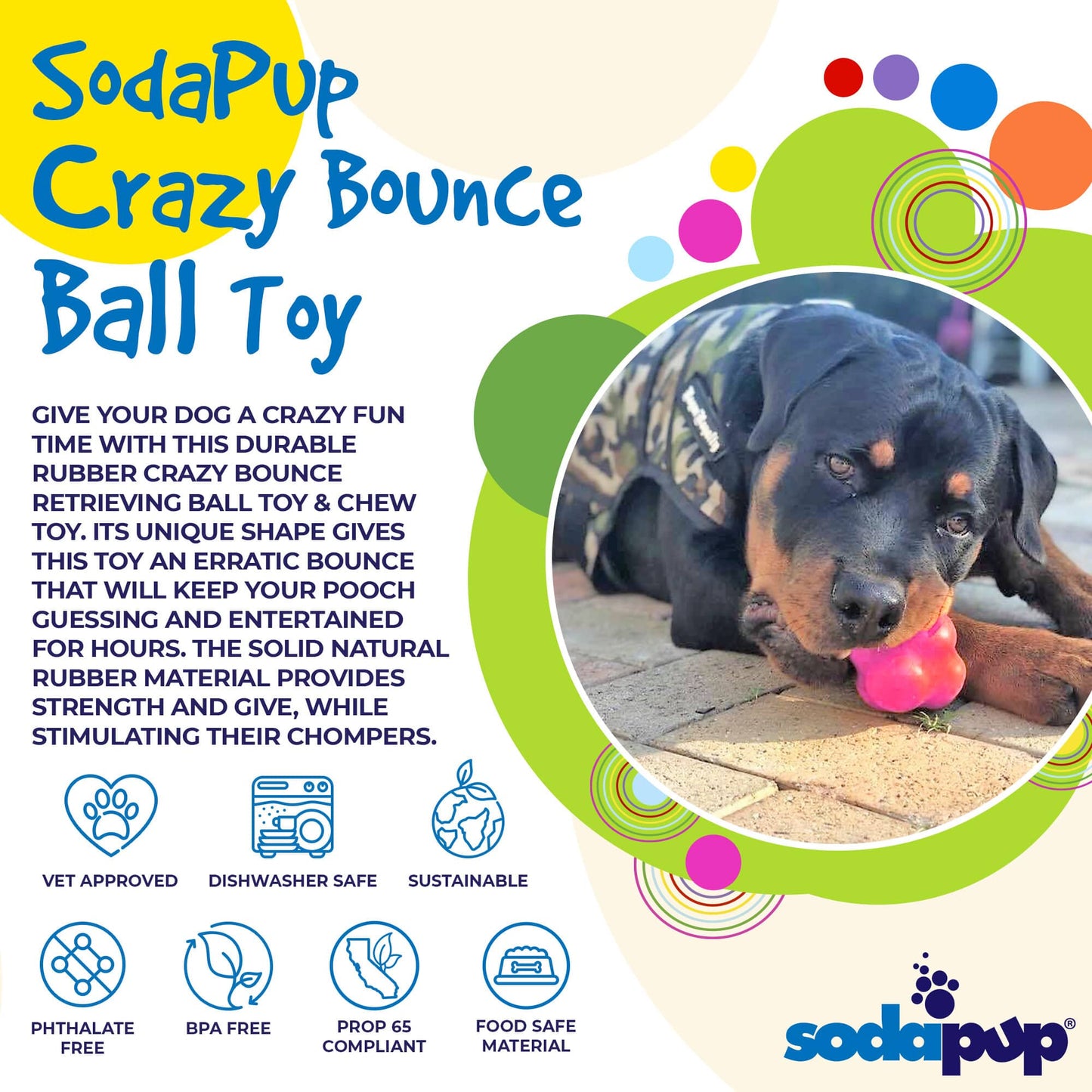 Dog playing with a pink ball toy, surrounded by colorful text and graphics about the SodaPup Crazy Bounce Ball Toy.