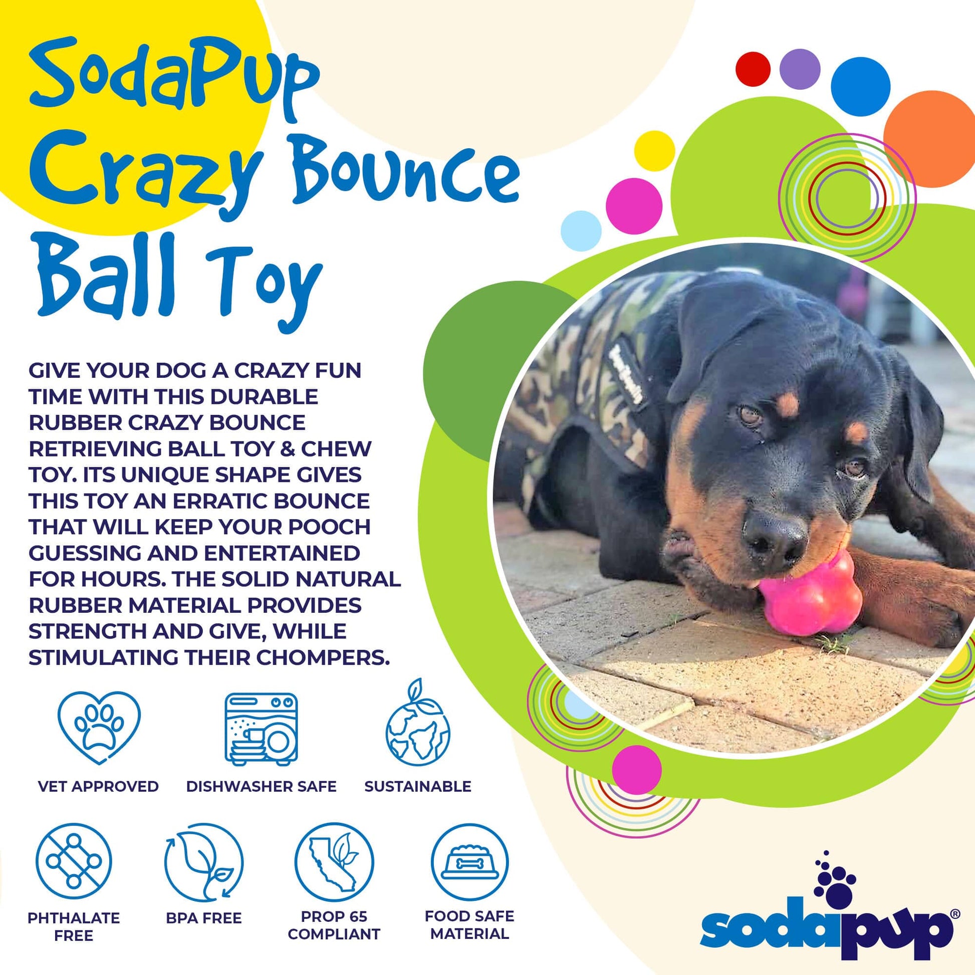 Dog playing with a pink ball toy, surrounded by colorful text and graphics about the SodaPup Crazy Bounce Ball Toy.