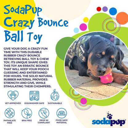 Dog playing with a pink ball toy, surrounded by colorful text and graphics about the SodaPup Crazy Bounce Ball Toy.