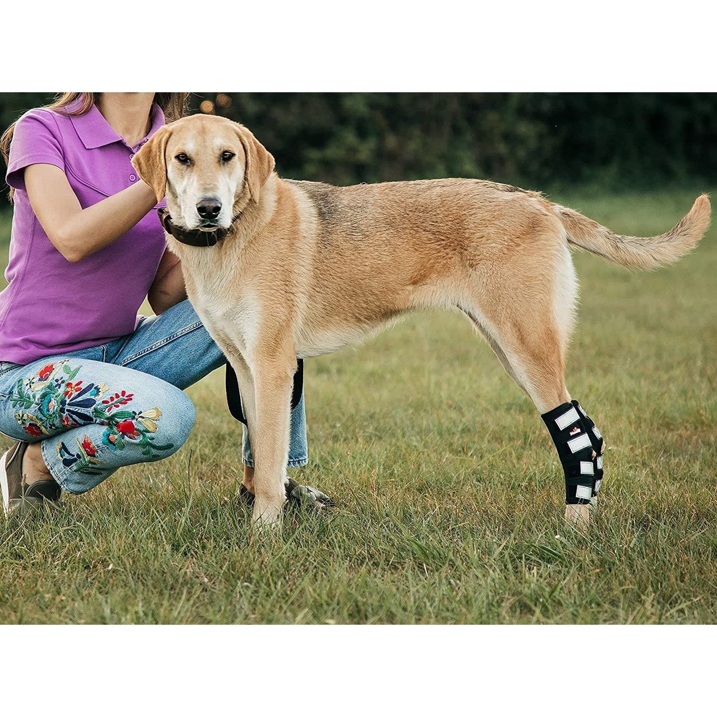 Dog with a bandaged paw standing on grass next to a person.