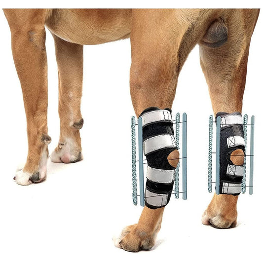Horse legs with protective leg wraps on a white background