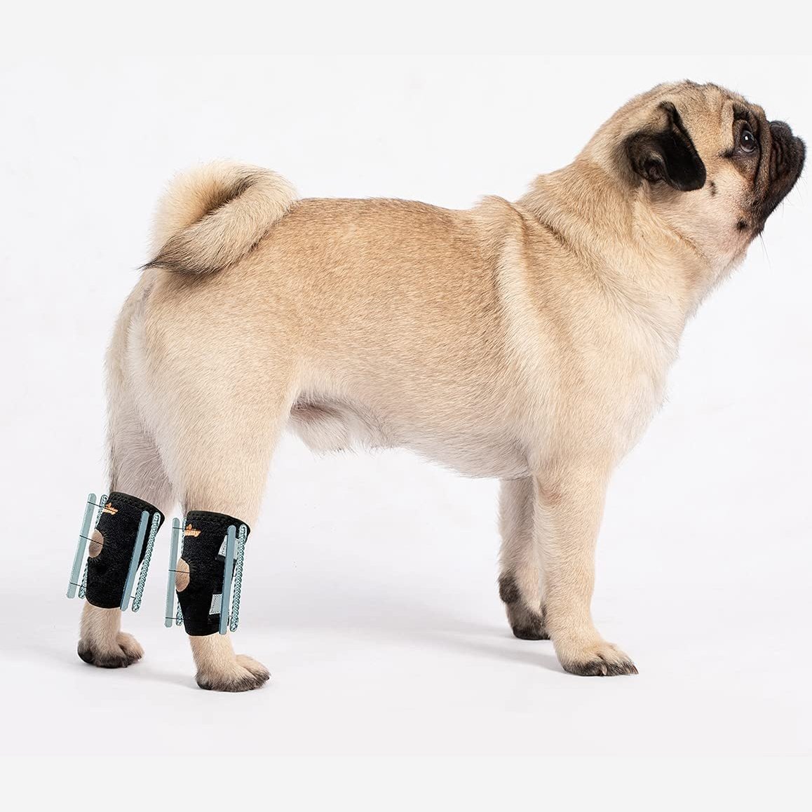 Pug wearing black bandages on its front legs against a white background