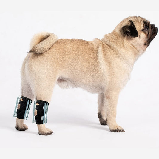 Pug wearing black bandages on its front legs against a white background