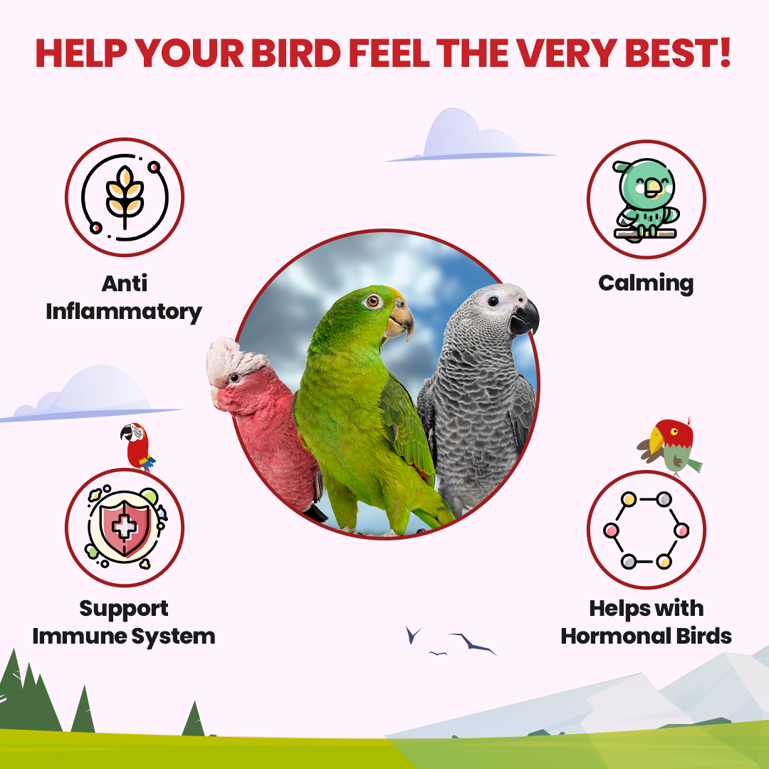 Promotional graphic for bird health products with parrots and text about benefits.