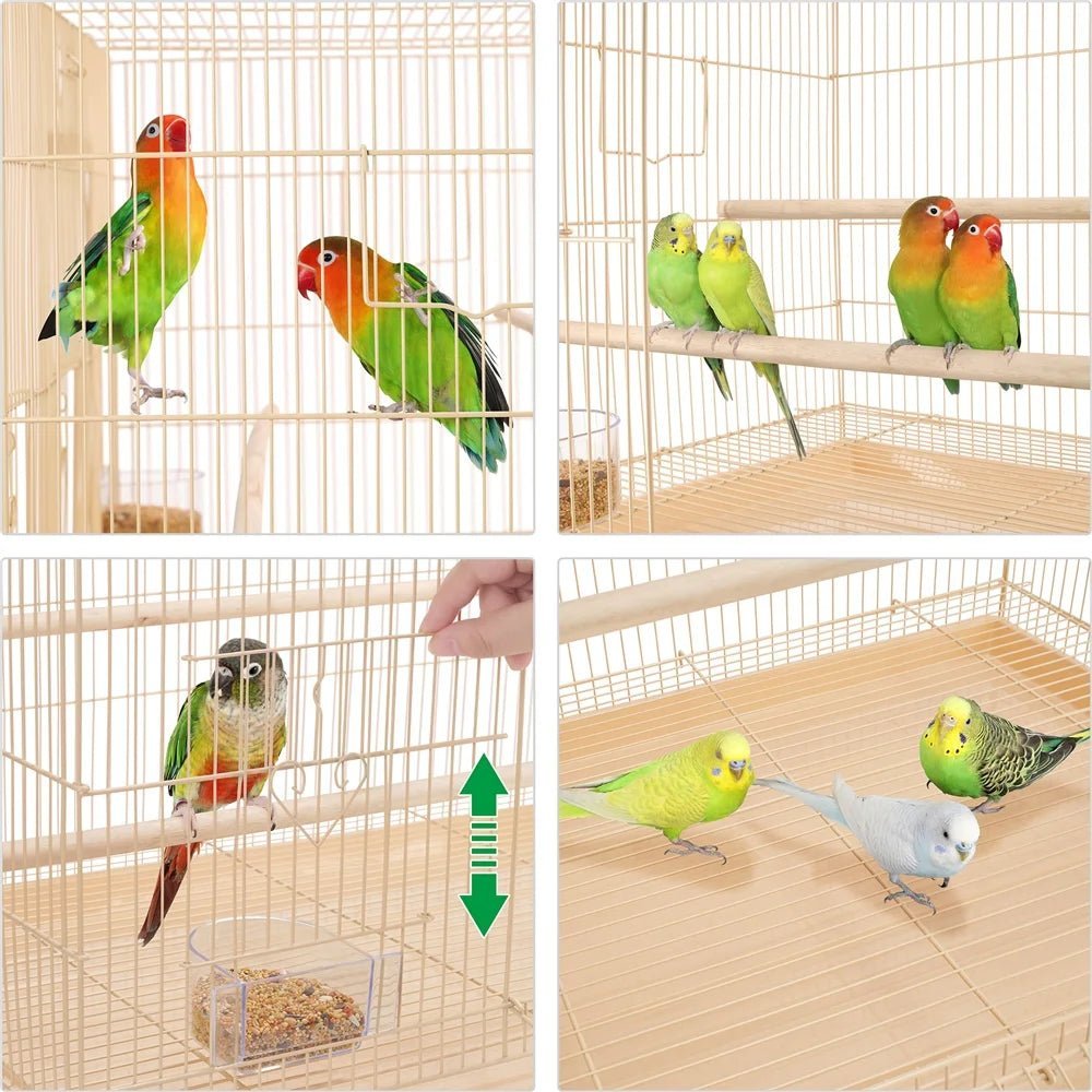 Collage of birds in a cage with various angles shown