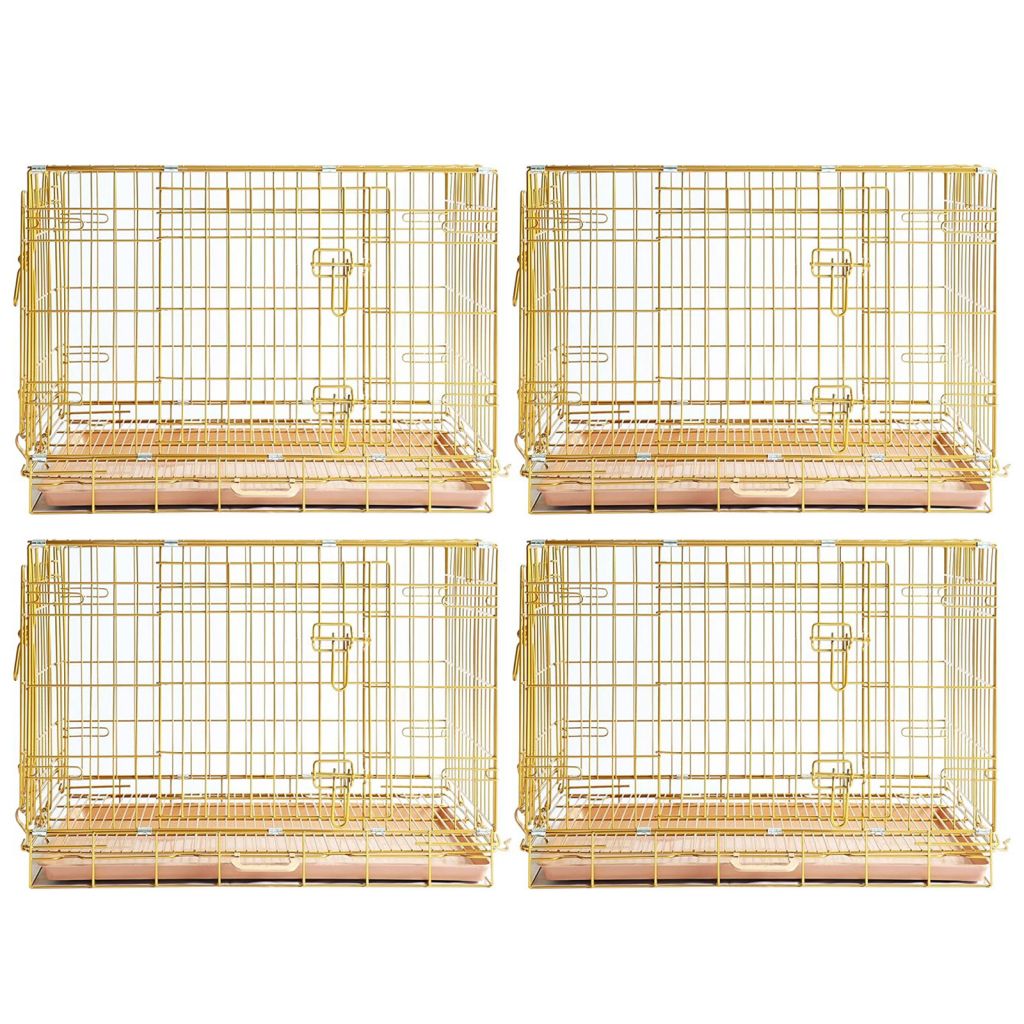 Four gold pet cages on a white background