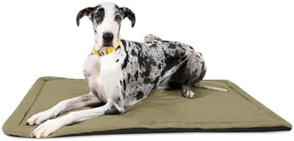 B0G54GXVHK-019ba6af-14b4-4197-8e8e-16bde9be0202
