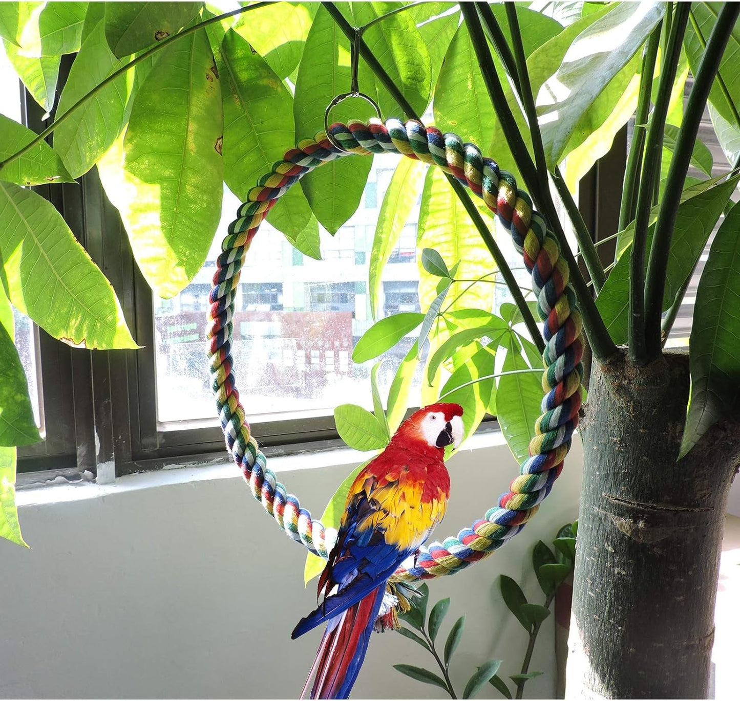 Colorful parrot perched on a braided rope toy with green leaves in the background
