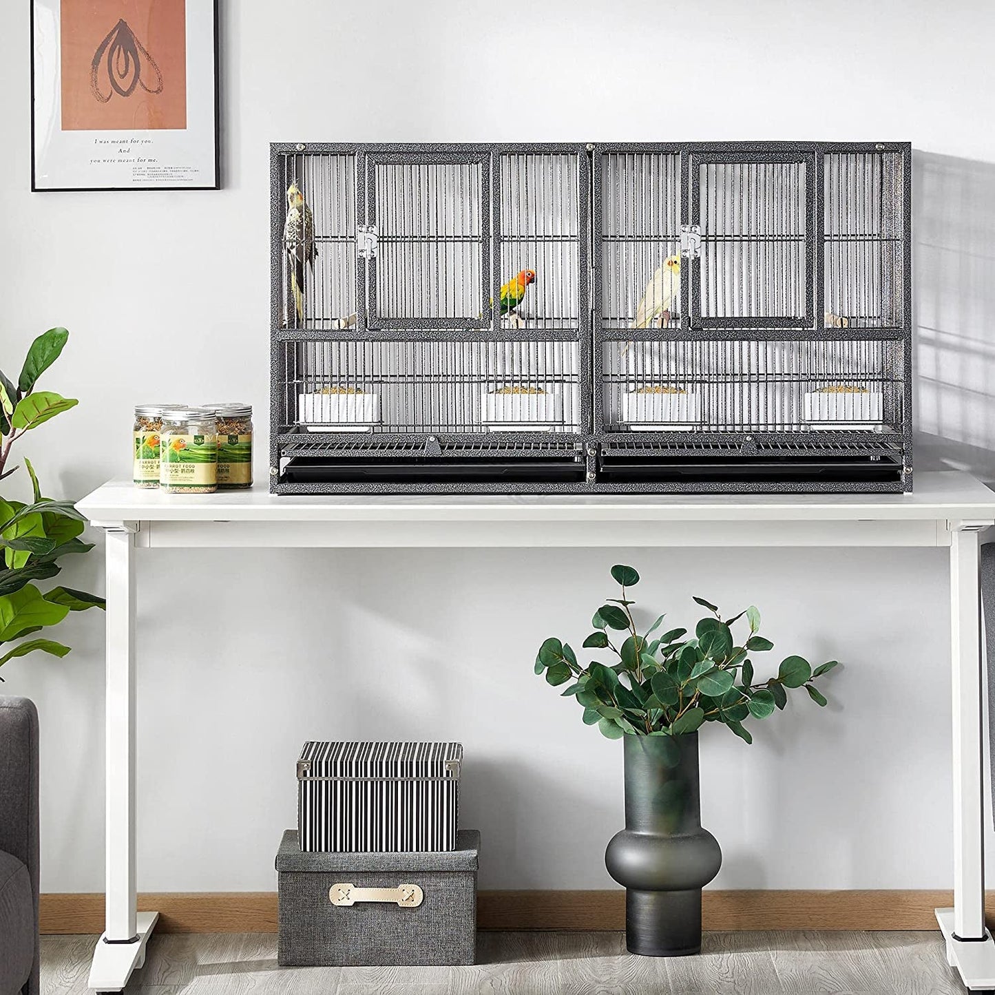 Two bird cages on a white table with birds inside, surrounded by plants and decor.