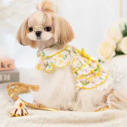 Small dog wearing a decorative outfit with floral patterns on a soft surface.
