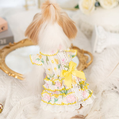 Dog wearing a floral dress with a yellow bow in front of a decorative mirror.