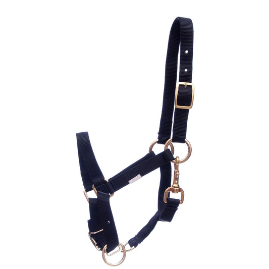 Navy blue horse halter with gold hardware on a white background