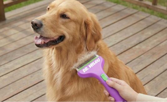 Dog being groomed with a purple grooming tool on a wooden deck
