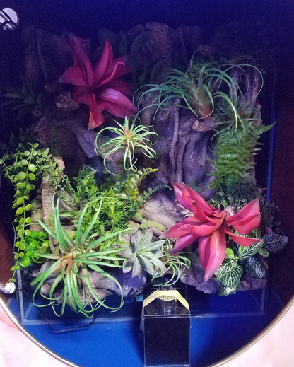 Collection of air plants and succulents in a decorative setting with rocks and purple stones.