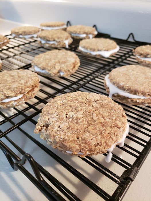 🐾 Oatmeal Organic Cream Pie Dog Treats – Gluten Free