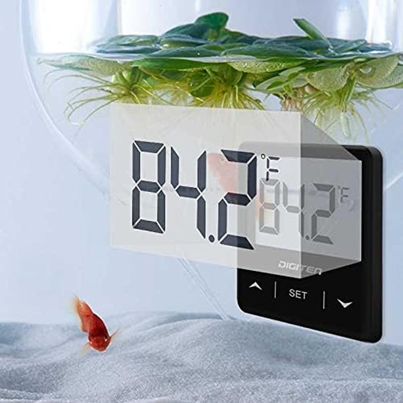 Digital thermometer for aquarium water temperature with a fish and plant in the background