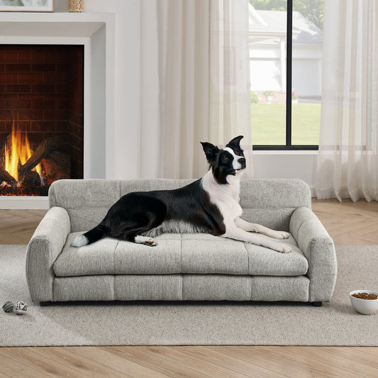 Dog lying on a pet-friendly couch in a living room with a fireplace and large window.
