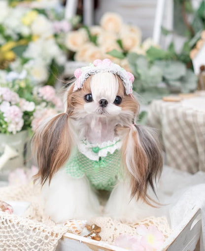 Small dog with a decorative headband and green outfit sitting in a decorated room.
