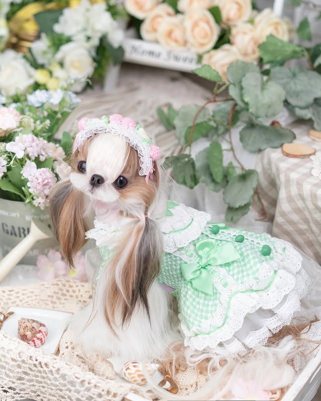 Small dog figurine in a green dress with flowers and decorative elements in the background