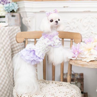 Small white dog in a decorative outfit sitting on a chair with a floral arrangement and tablecloth in the background.