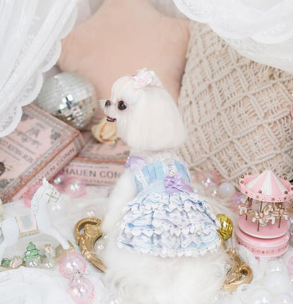 Small white dog wearing a pastel dress surrounded by decorative items on a textured surface.