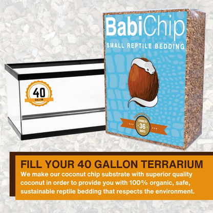 BabiChip Premium Small Sized Coconut Chips; Ready to Use