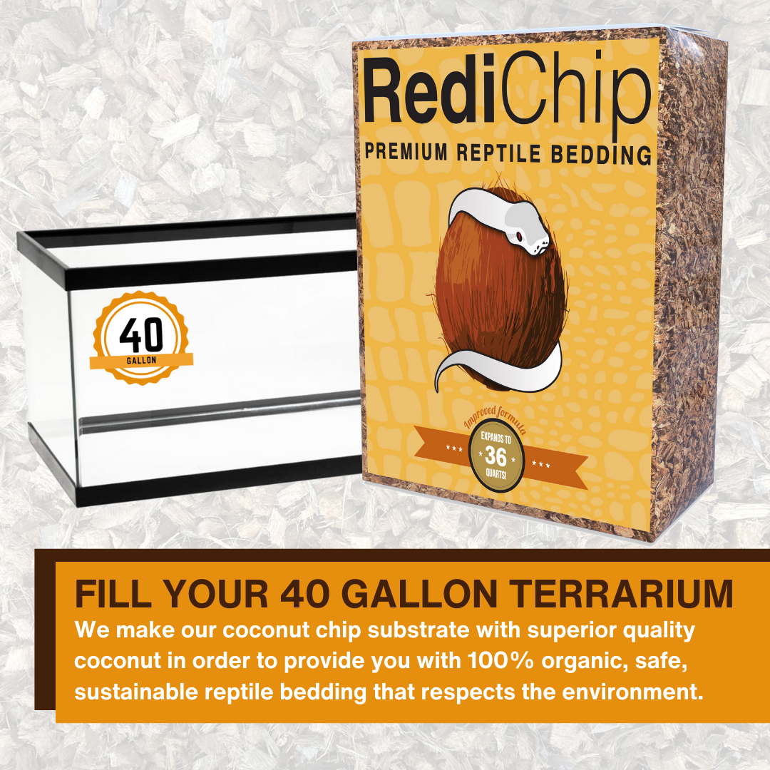 RediChip Premium reptile bedding for a 40-gallon terrarium