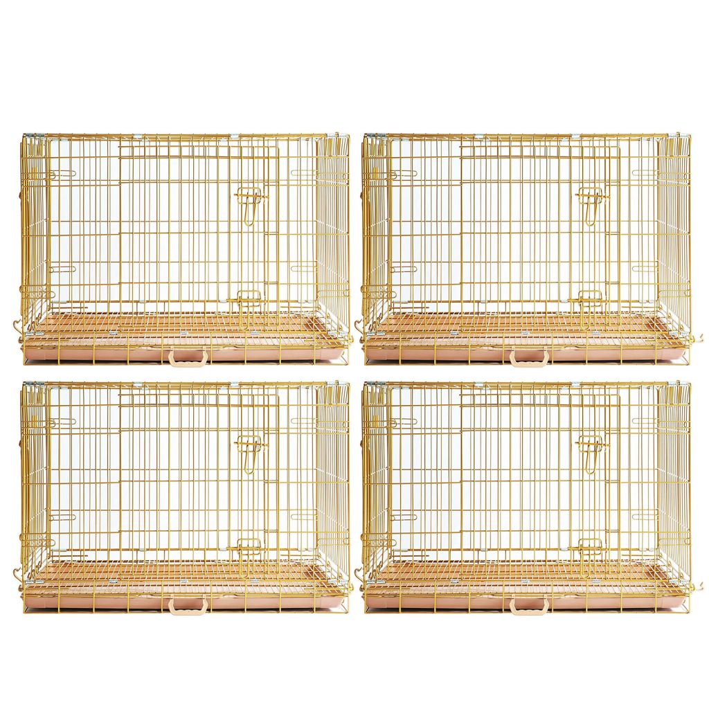 Four gold bird cages on a white background