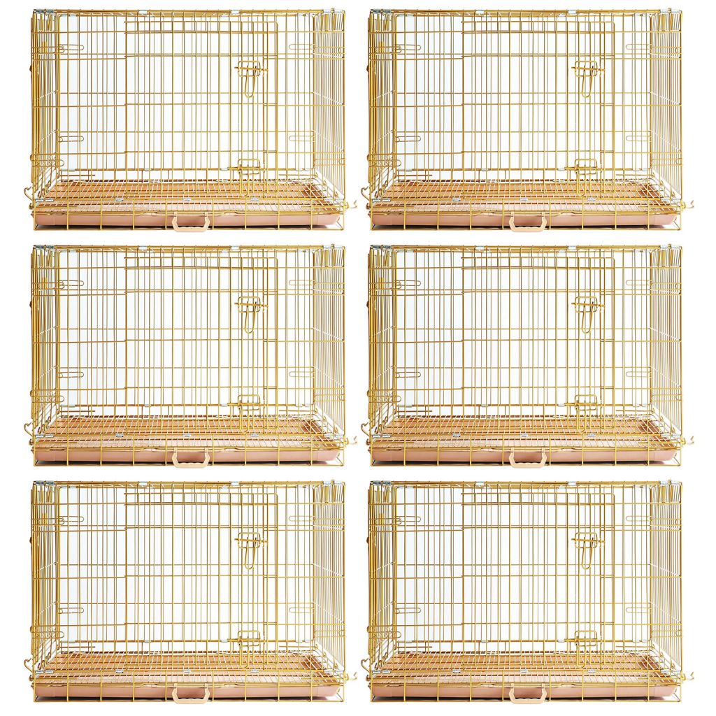 Set of six gold bird cages on a white background