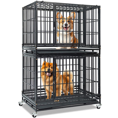 Two dogs inside large black metal dog crates on a white background