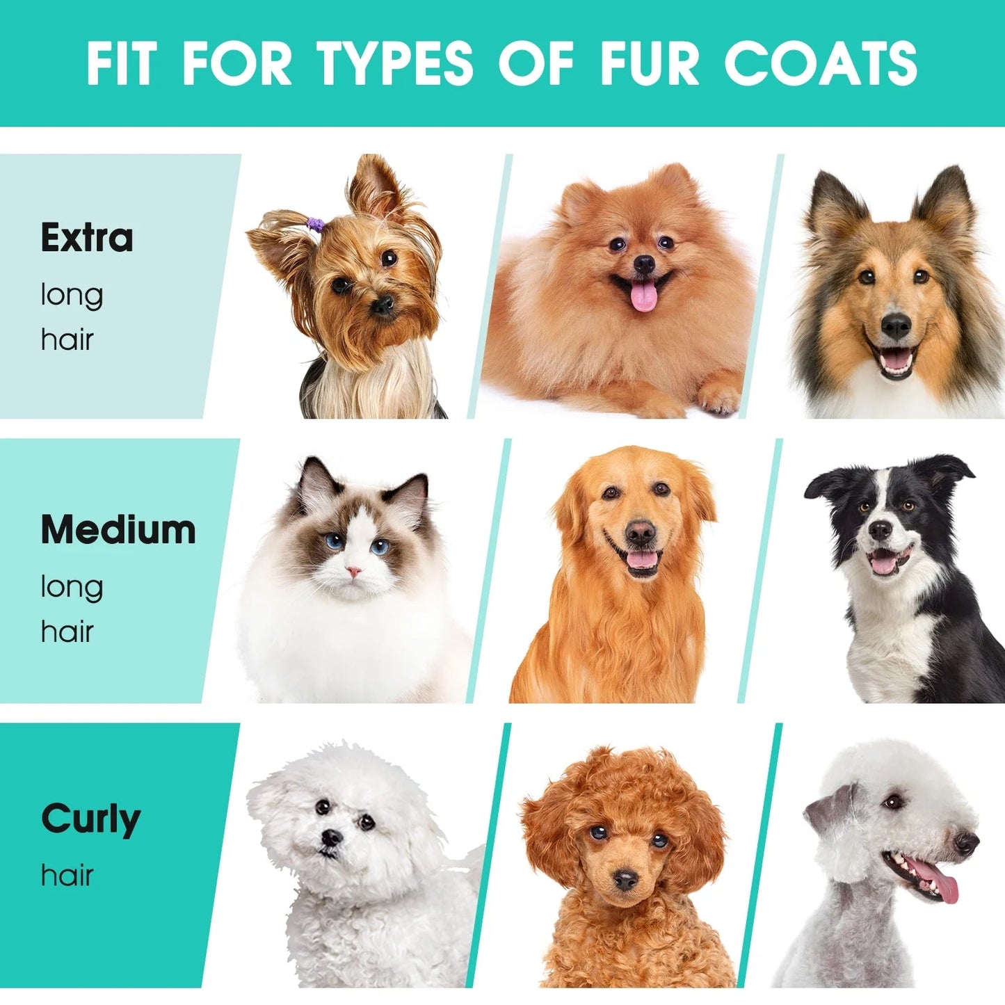 Chart showing different types of fur coats with images of dogs and cats.