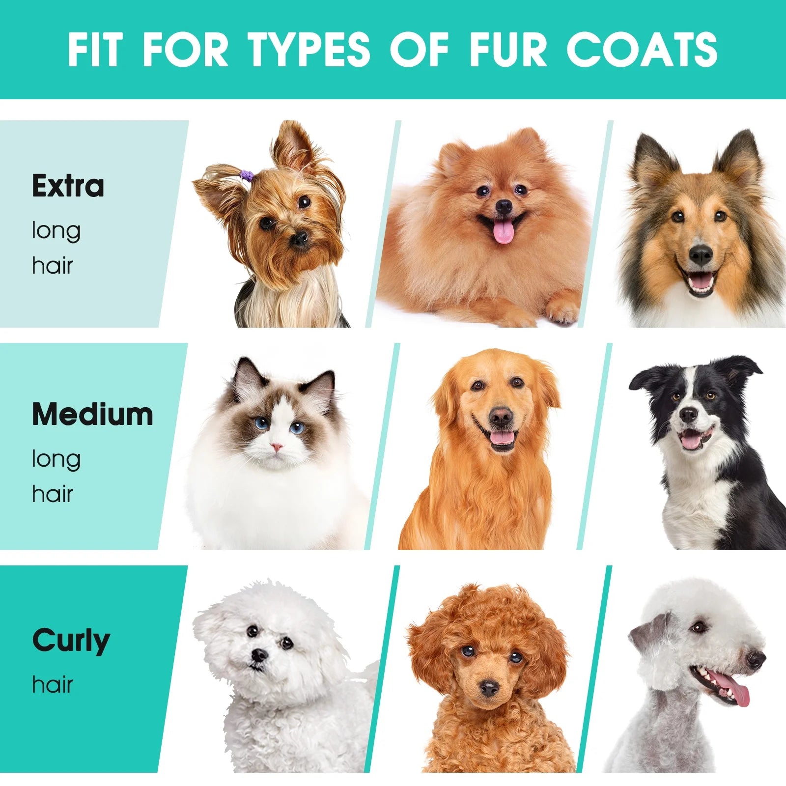 Chart showing different types of fur coats with images of dogs and cats.