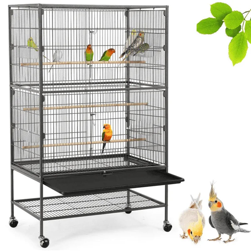 Bird cage with multiple birds on a white background