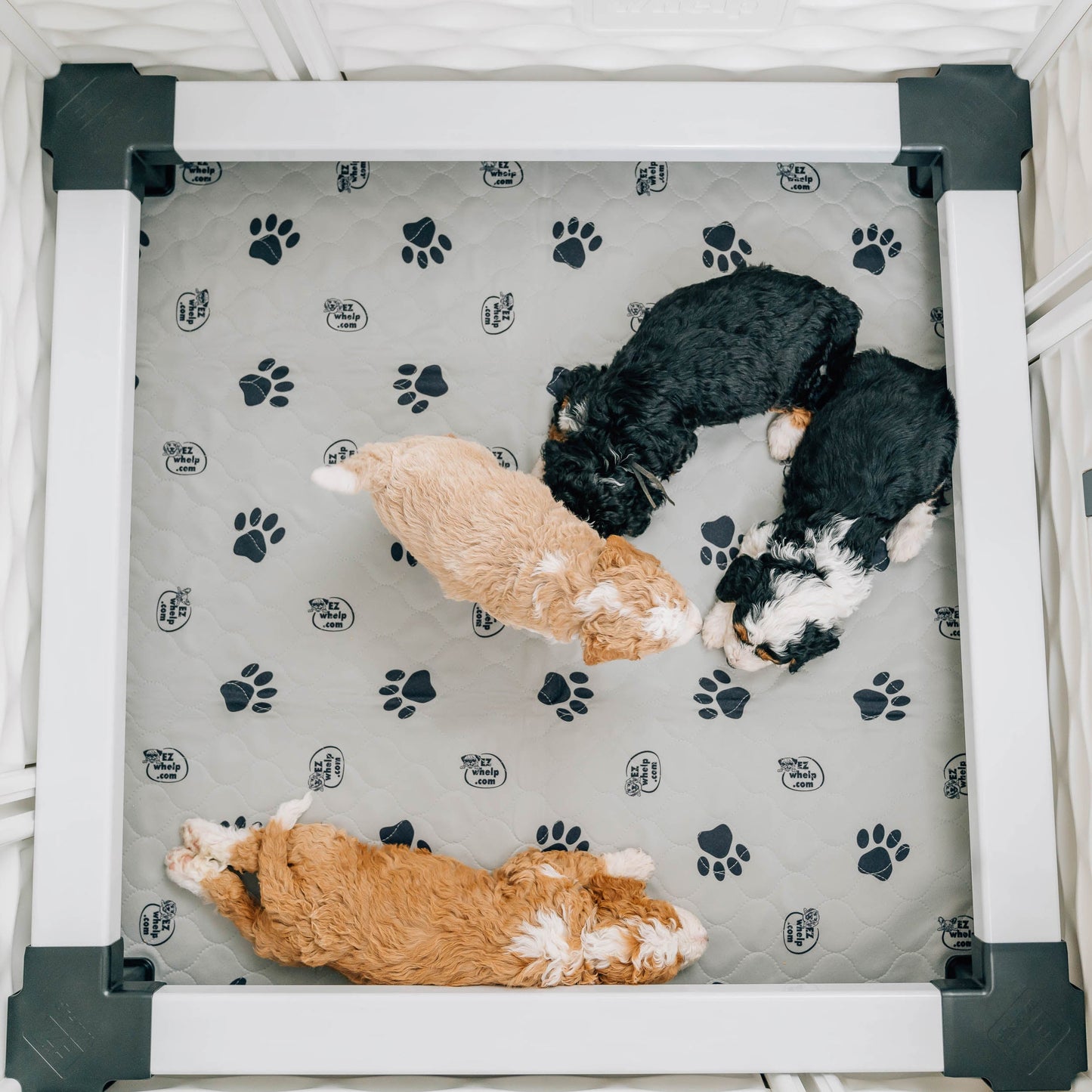 Three puppies lying on a patterned mat inside a pet playpen.
